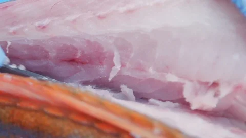 Cut fish Stock Footage 113861422