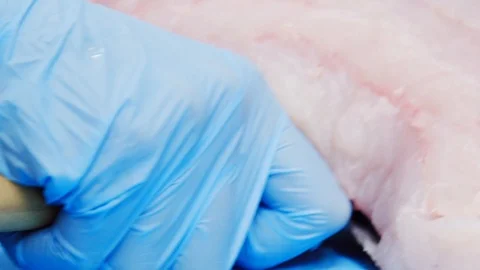 Cut fish Stock Footage 113861454