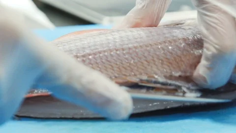 Cut fish Stock Footage 114059045