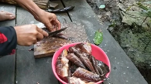 Cut fish Stock Footage 228050450