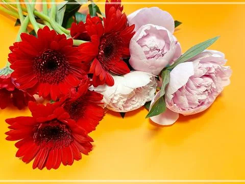 Cut flowers Stock Photos