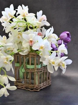Cut flowers Stock Photos