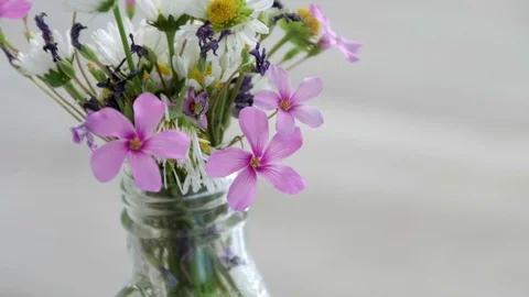Cut flowers stem beatiful background rotating Stock Footage 130009944