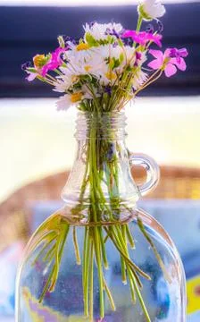 Cut flowers stem beatiful background vertical Stock Photos