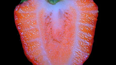 Cut Fresh Strawberry on Black Background – close up, detail Stock Footage 90804132