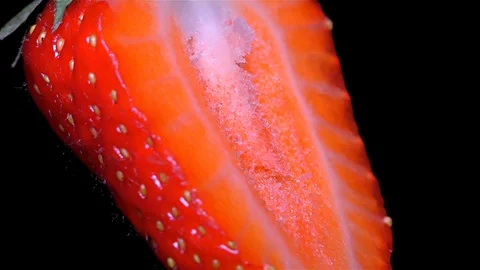Cut Fresh Strawberry on Black Background – close up, detail Stock Footage 90804231