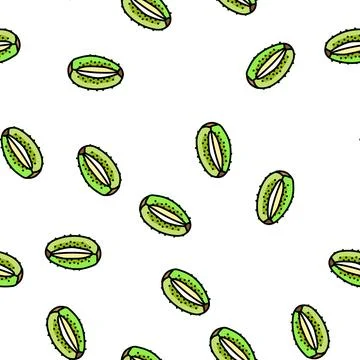Cut fruit kiwi vector seamless pattern Stock Illustration