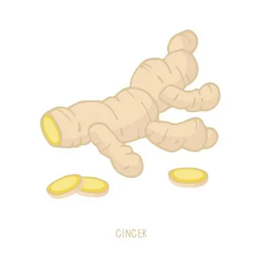 Cut Ginger root isolated on white. Farmer Market Logo. Herbal plant. Seasoning Stock Illustration