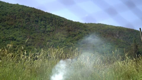 Cut grass and branches thrown out near the forest and burnt in a sunny day Stock Footage 110703360