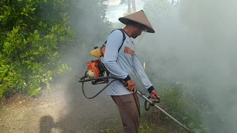 Cut grass in the garden Stock Footage 205906244