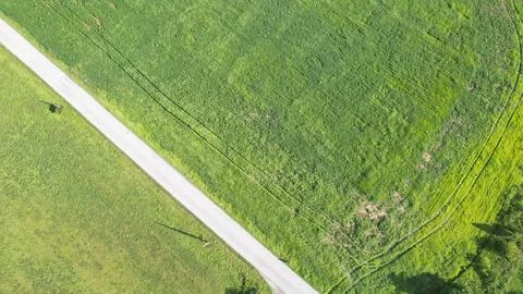 Cut the Grass Stock Photos