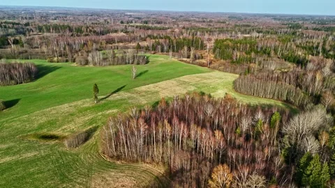 Cut grassy meadow surrounded by deciduous trees aerial view Video stock 337691727