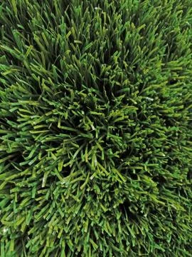 Cut green artificial grass Stock Photos