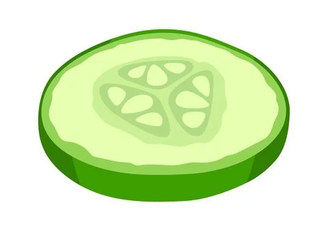 Cut of green cucumber. Fresh vegetables for salad. Stock Illustration