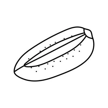 Cut green kiwi line icon vector illustration Stock Illustration