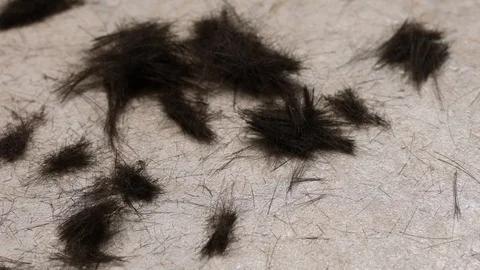 Cut hair falling on the floor Stock Footage 128162991