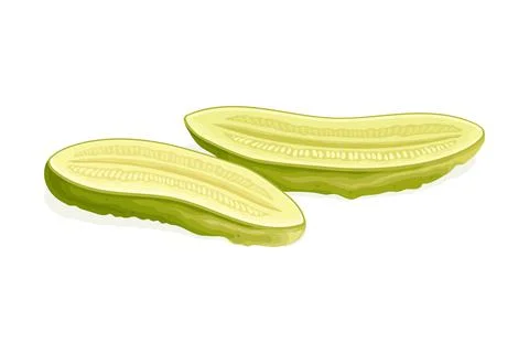 Cut in Half Pickled Cucumber or Gherkin with Salted Taste Served as Snack Vector 库存插图