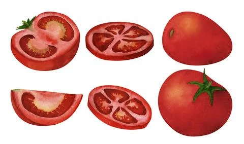 Cut half, slice and quarter tomato, watercolor illustration, isolated on whit Stock Illustration