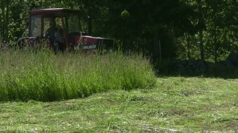 Cut the hay with a tractor Stock Footage 479818