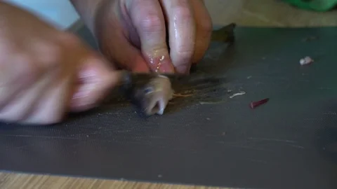 Cut off the head of a small fish on a cutting board Stock Footage 124046736