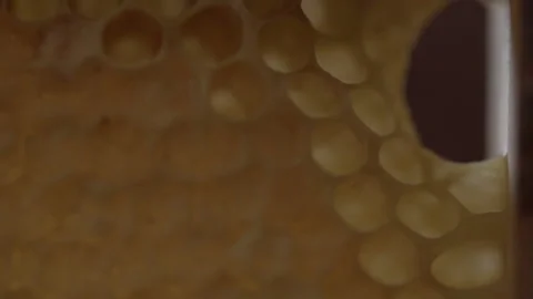 Cut with a knife honeycomb macro shot. Slow motion 100 fps Stockbeeldmateriaal 165184898