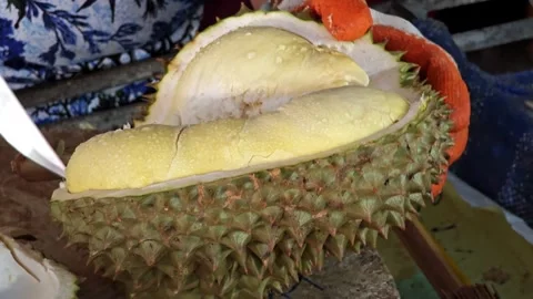 Cut with a knife to split the Thai durian. Stock Footage 309023472