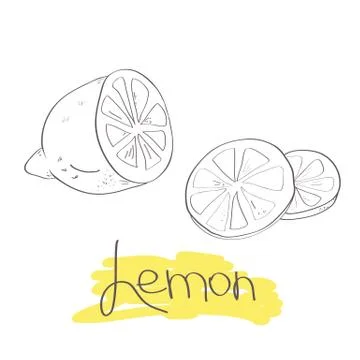 Cut lemon slices Stock Illustration