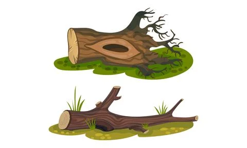 Cut Log or Snag with Dry Branches as Coarse Woody Debris Vector Set Stock Illustration