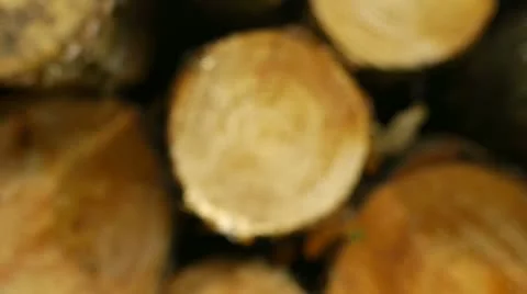 Cut logs, camera move to make copy space. Stock Footage