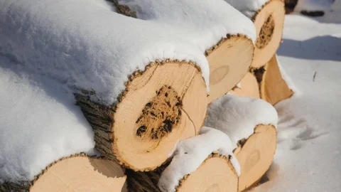 Cut Up Logs Near a Fire Pit with Snow in Winter Video stock 85060070