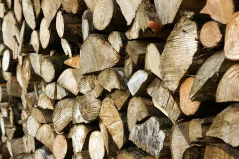 Cut logs Stock Photos