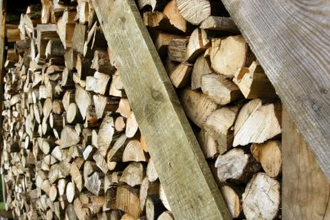 Cut logs Stock Photos