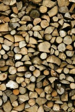 Cut logs Stock Photos