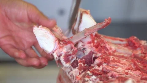 Cut meat Stock Footage 82012094