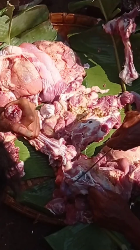 Cut the meat Video stock 301238791