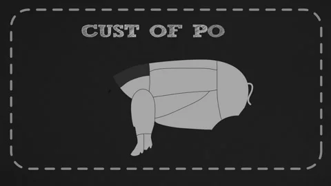 Cut of meat set. Poster Butcher diagram, scheme and guide - Pork. Vintage Stock Footage 255904479