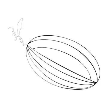 A cut melon Иллюстрация