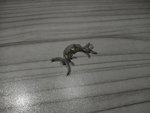 Cut nail Stock-Fotos