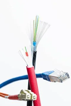 A cut network cable and a cut optical fiber patch cord with shield on a wh... Fotos de archivo