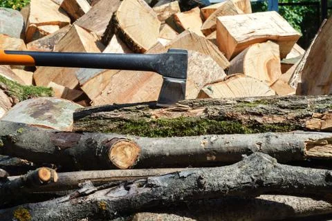 Cut oak and beech trees for harvesting for the winter 스톡 사진