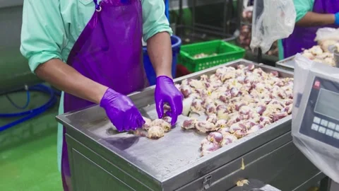 Cut offal Stock Footage 166225136