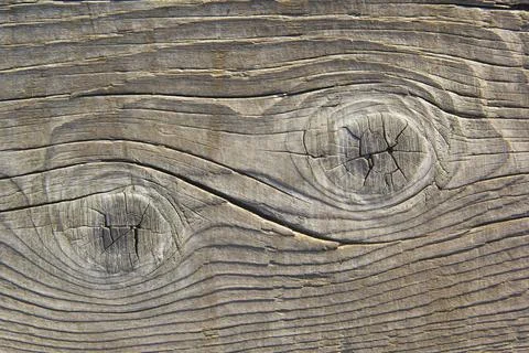 Cut of an old board with a pattern Stock Photos