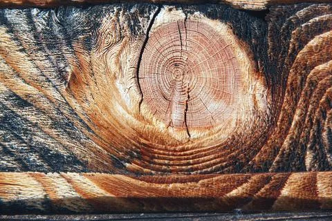 Cut of an old board with a pattern Stock Photos