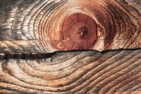 Cut of an old board with a pattern Stock Photos