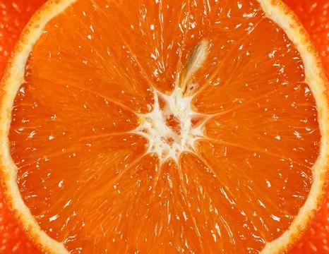 Cut orange in half with a bone Stockfoto's