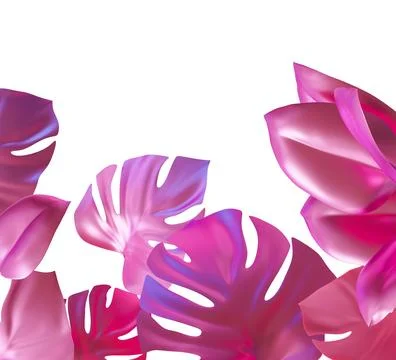 A cut out element features holo plants with bright colors displayed on a cl.. 스톡 사진