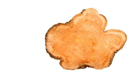 Cut-out image of a cross-section of a log on a white background with clippi.. Stock Photos