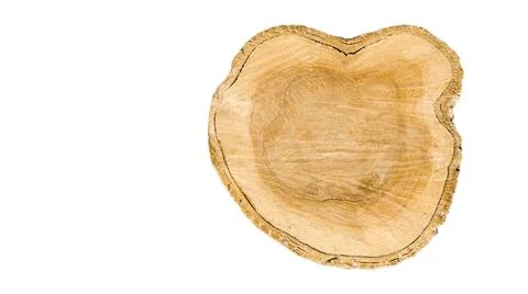 Cut-out image of a cross-section of a log on a white background with clippi.. Stock Photos
