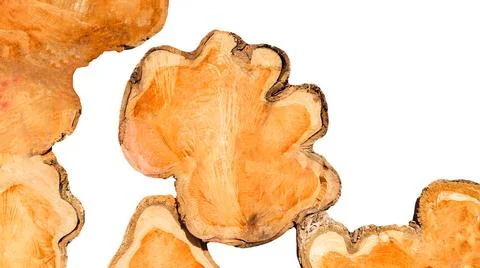 Cut-out image of a cross-section of a log on a white background with clippi.. Stock Photos