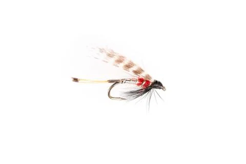 Cut Out of Insect-Looking Trout Fly Stock Photos
